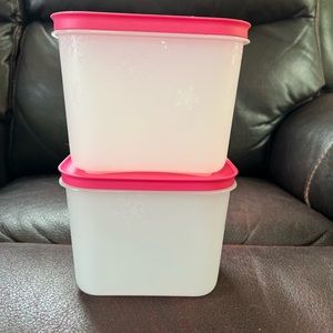 Tupperware Freezer Mates